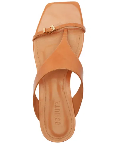 Schutz Tana Flat In Brown
