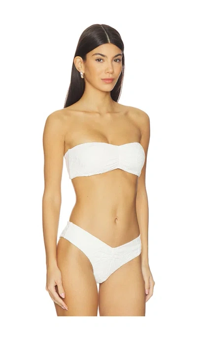 Devon Windsor Navi Bikini Top In White
