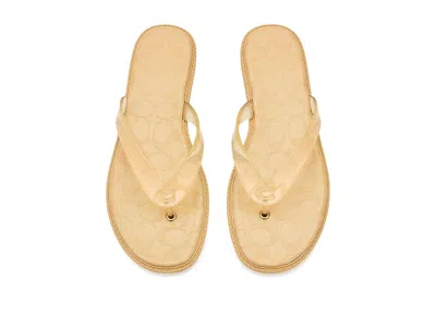 Coach Jelly Flip-flops In Multi