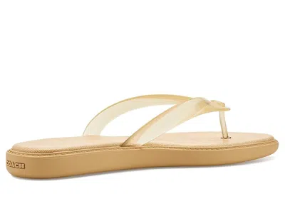 Coach Jelly Flip-flops In Multi
