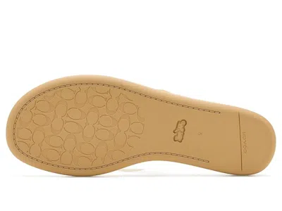 Coach Jelly Flip-flops In Multi