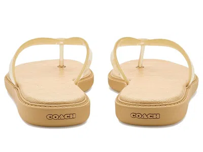 Coach Jelly Flip-flops In Multi