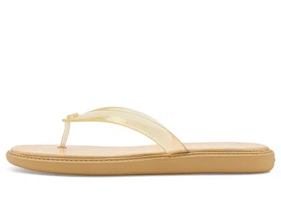 Coach Jelly Flip-flops In Multi