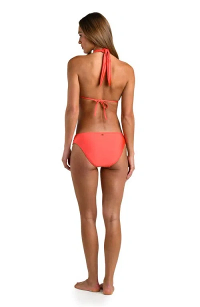 Sunshine 79 Solids Triangle Bikini Top In Orange