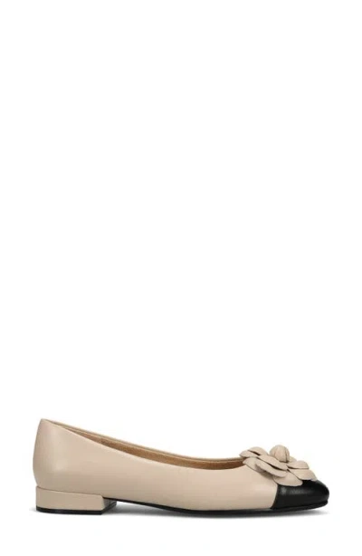 Vaneli Tasina Cap Toe Flat In Multi