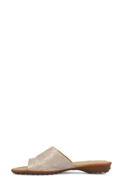 Vaneli Tallis Slide Sandal In Multi