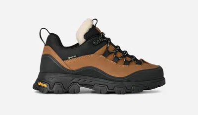 Ugg Metrotrek Hiker Sneakers In Brown