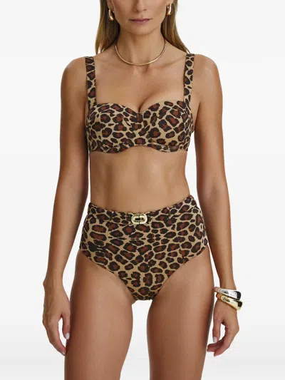 Sofia Erhan Leopard-print Belted Bikini In Brown