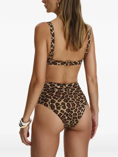 Sofia Erhan Leopard-print Belted Bikini In Brown