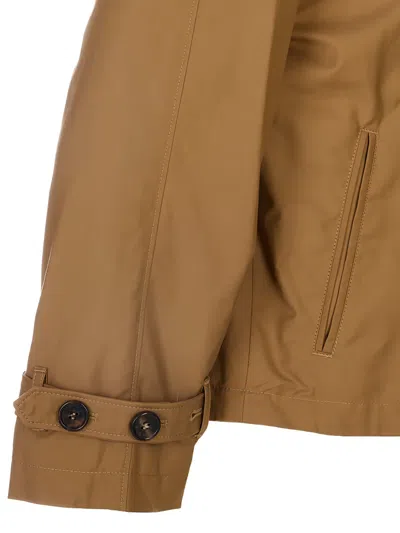 Max Mara Double-breasted Buttoned Jacket In Brown