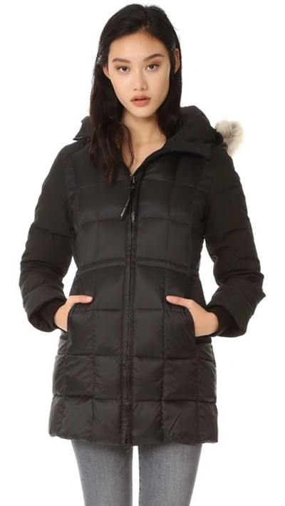 Canada Goose Beechwood Coyote Fur Trimmed Parka In Black