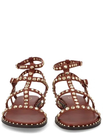 Ash Gladiator Sandal Open Toe Ankle Strap In Brown