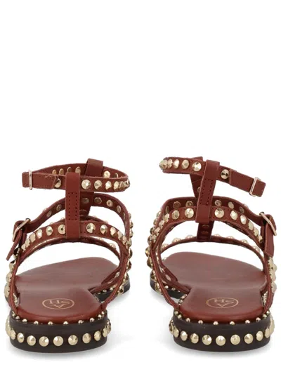 Ash Gladiator Sandal Open Toe Ankle Strap In Brown