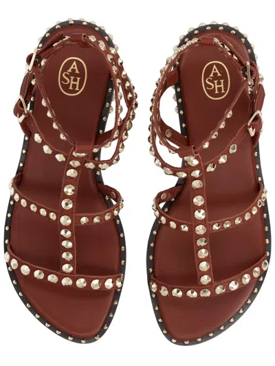 Ash Gladiator Sandal Open Toe Ankle Strap In Brown
