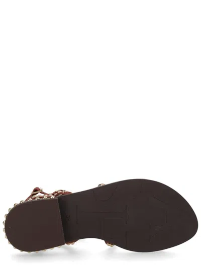 Ash Gladiator Sandal Open Toe Ankle Strap In Brown