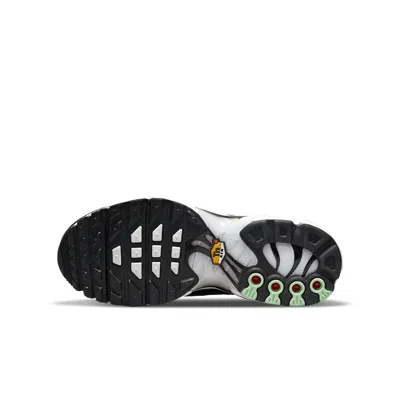 Nike (gs)  Air Max Plus 'white Reflect Silver Fresh Mint' In Multi