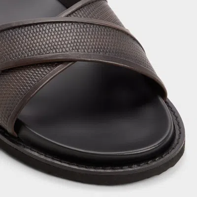 Aldo Kendo In Multi