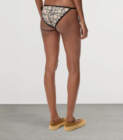 Loewe Bikini Bottom In Technical Jersey In Blue