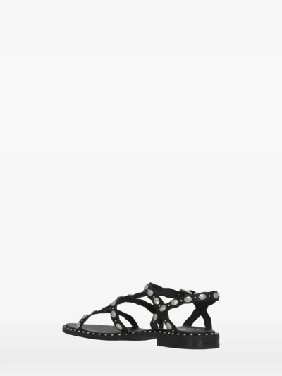 Ash Plus Stud-embellished Leather Sandals In Black