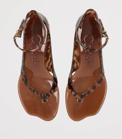 Chloé Jelly Flip-flop Sandals Tropical Print Shell Heel In Brown