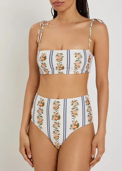 Agua By Agua Bendita Magenta Valle Printed Stretch Recycled Bikini Briefs In Brown