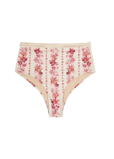 Agua By Agua Bendita Nopaul Floral-printed Stretch Recycled Bikini Briefs In Multi