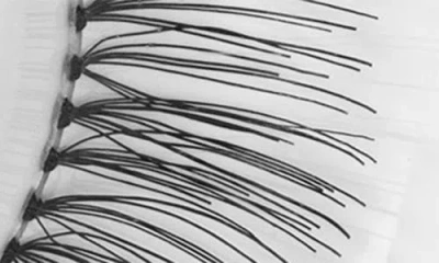 Mac Cosmetics 4 Idol Lash False Lashes