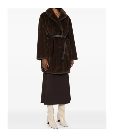 P.a.r.o.s.h Belted Lapel Coat In Brown