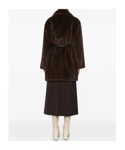 P.a.r.o.s.h Belted Lapel Coat In Brown
