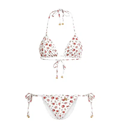 Dolce & Gabbana Small Rose-print Triangle Bikini In White