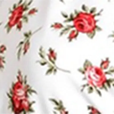 Dolce & Gabbana Small Rose-print Triangle Bikini In White