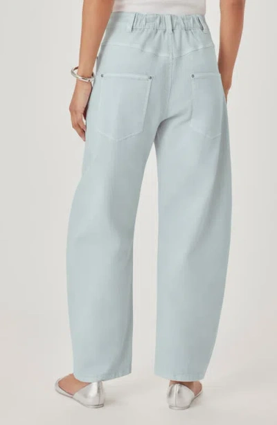 Splendid Ankle Barrel Leg Jeans