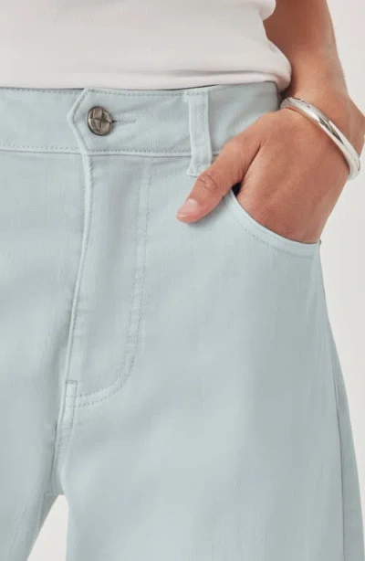 Splendid Ankle Barrel Leg Jeans