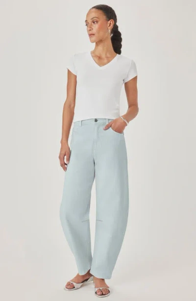 Splendid Ankle Barrel Leg Jeans