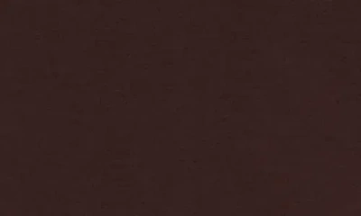 Spanx ® Modal Blend T-shirt In Brown