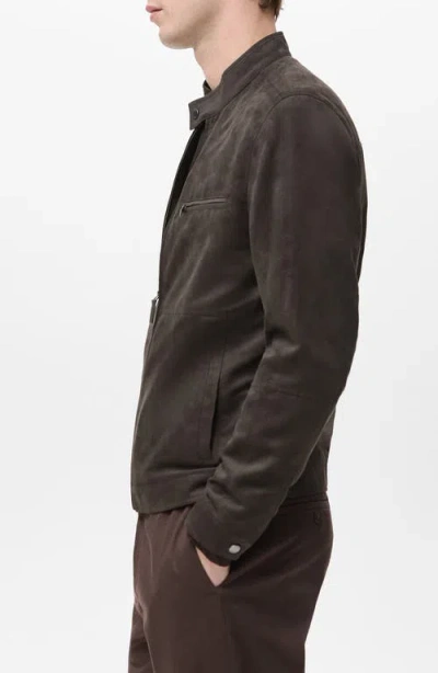 Mango Suede-effect Biker Jacket Brown In Brown