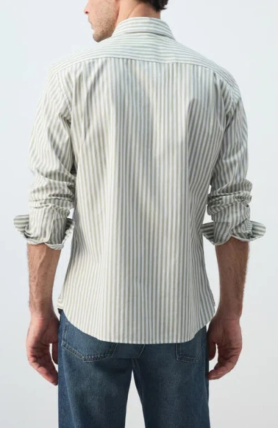 Mango Regular Fit Stripe Button-up Shirt In Green