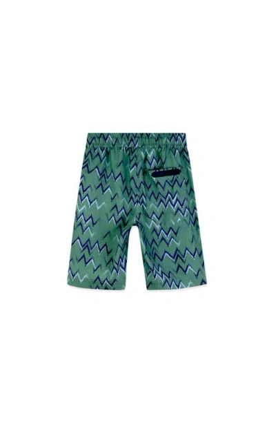 Lanvin Poplin Bermuda Shorts In Multi