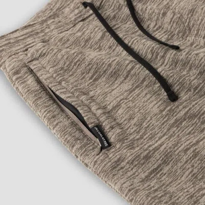 Coalatree Evolution Jger In Brown