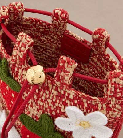 Loewe Strawberry-embellishment Raffia Crossbody Bag In Brown