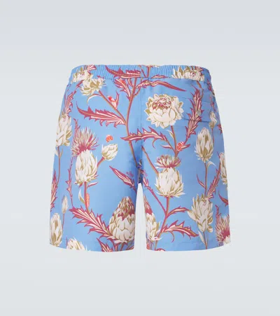 Loewe Printed Swim Trunks In Multi