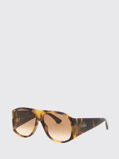 Chloé Teardrop Aviator Sunglasses Tortoiseshell Frame In Brown