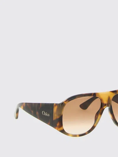 Chloé Teardrop Aviator Sunglasses Tortoiseshell Frame In Brown
