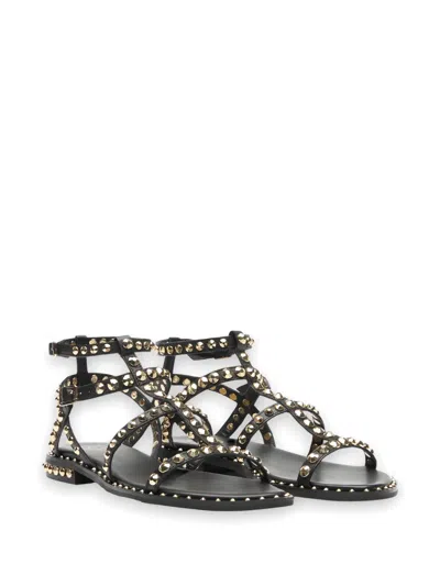 Ash Stud-embellished Sandals In Black