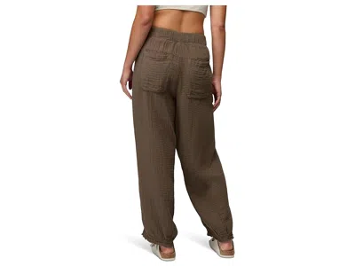 Prana Hideaways Pants In Brown