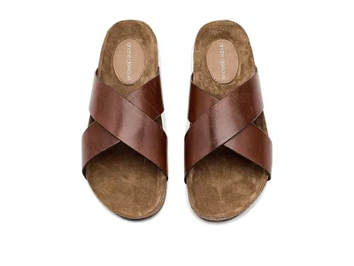 Andre Assous Max In Brown