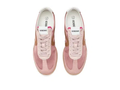 Verbenas Simona In Pink