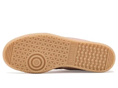 Verbenas Simona In Pink