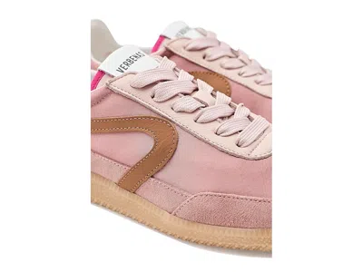 Verbenas Simona In Pink