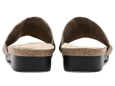 Munro Casita In Multi